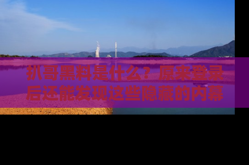 扒哥黑料是什么？原来登录后还能发现这些隐藏的内幕！