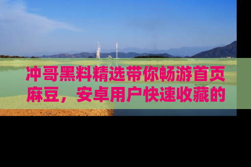 冲哥黑料精选带你畅游首页麻豆，安卓用户快速收藏的秘密武器！