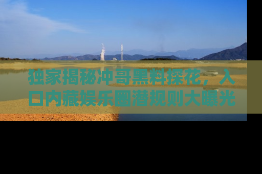 独家揭秘冲哥黑料探花，入口内藏娱乐圈潜规则大曝光