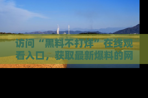 访问“黑料不打烊”在线观看入口，获取最新爆料的网址！