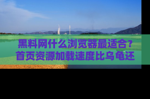 黑料网什么浏览器最适合？首页资源加载速度比乌龟还慢的体验真心吐槽！