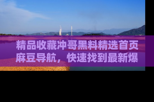 精品收藏冲哥黑料精选首页麻豆导航，快速找到最新爆料