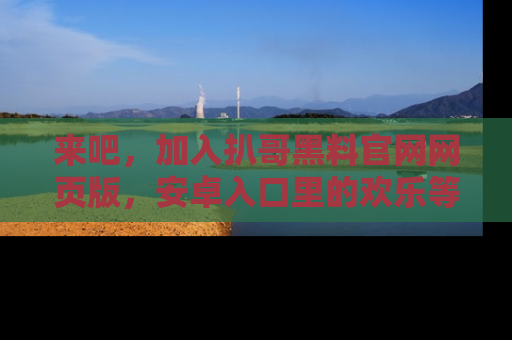 来吧，加入扒哥黑料官网网页版，安卓入口里的欢乐等着你！