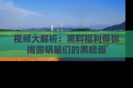 视频大解析：黑料福利带你揭露明星们的黑暗面