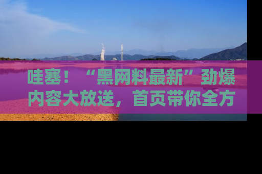 哇塞！“黑网料最新”劲爆内容大放送，首页带你全方位了解哦，小可爱们