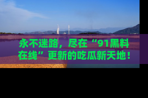 永不迷路,尽在“91黑料在线”更新的吃瓜新天地!