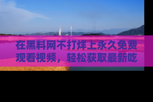 在黑料网不打烊上永久免费观看视频，轻松获取最新吃瓜资讯！