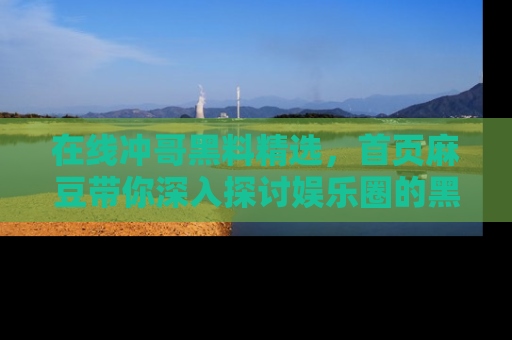 在线冲哥黑料精选，首页麻豆带你深入探讨娱乐圈的黑暗面