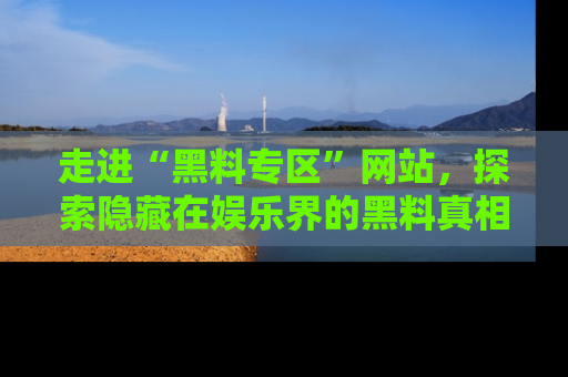 走进“黑料专区”网站，探索隐藏在娱乐界的黑料真相